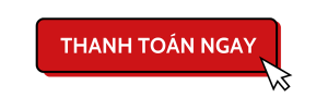Button-Thanh-toan-300x100-300x100.png